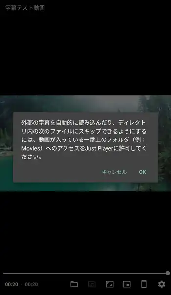Just (Video) Player 権限の許可