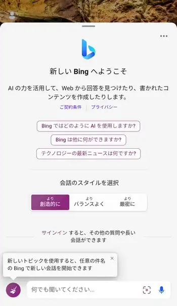 Bing チャット画面