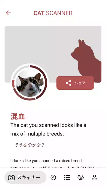 Cat Scanner 解析結果